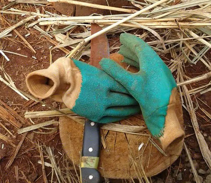 Morando na Pedra da Lua