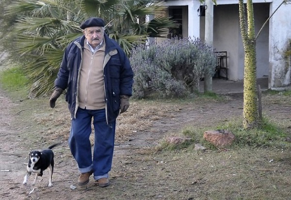 José Mujica, 81 anos: "Preciso de pouco…"