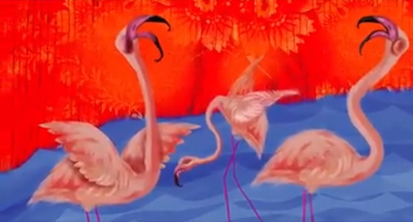 As meias dos flamingos, um conto de Horacio Quiroga