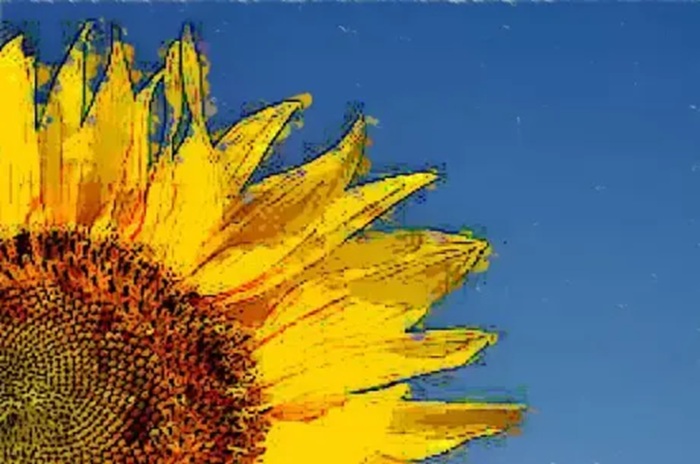 Quase uma oração, de Célia Musilli