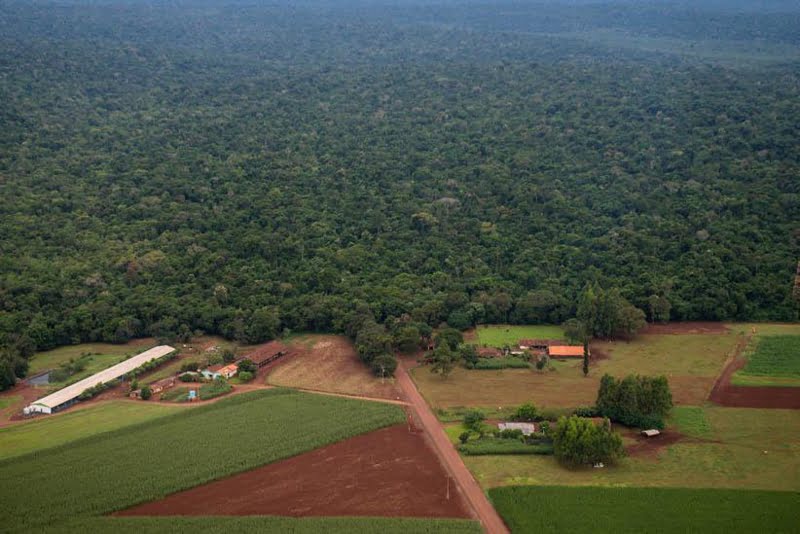 STF derruba último recurso que possibilitava reabertura da Estrada do Colono