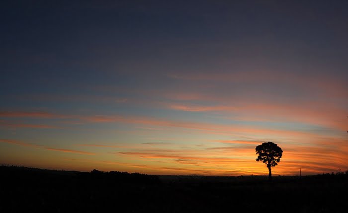 Todo Mundo tem um Sol Dentro de Si