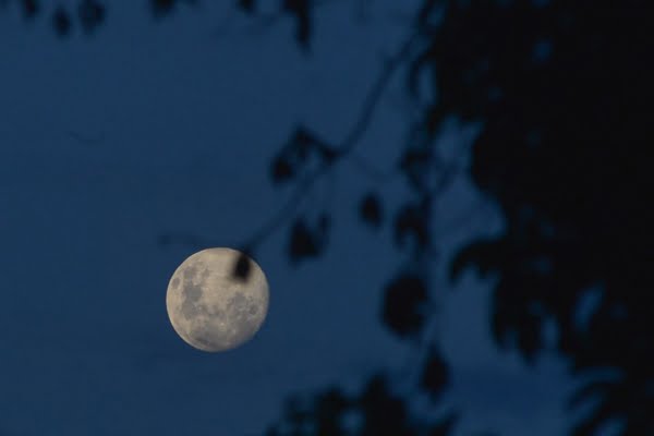 Lua-luar, um poema de Cora Coralina. Fotografia de Áurea Cunha