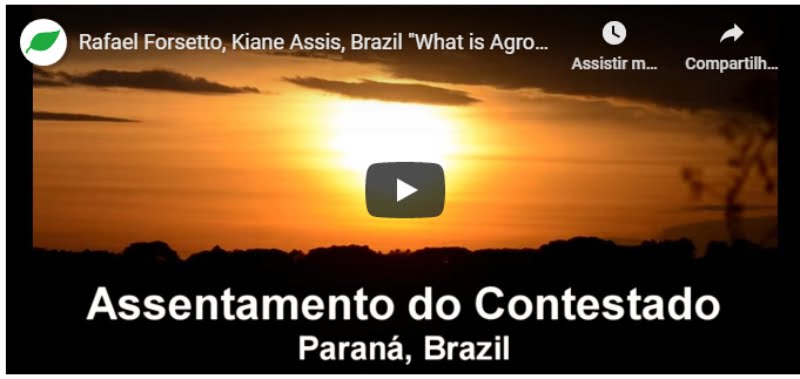 Curta-metragem sobre Assentamento Contestado (PR) ganha prêmio na ONU