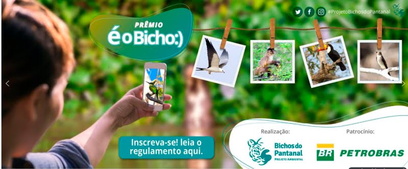 Prêmio É o Bicho promove a reconexão das pessoas com a natureza