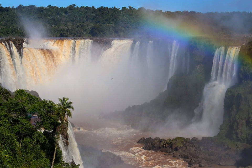 Todo dia é Dia do Meio Ambiente! Conheça a play list de ações ambientais da Cataratas do Iguaçu