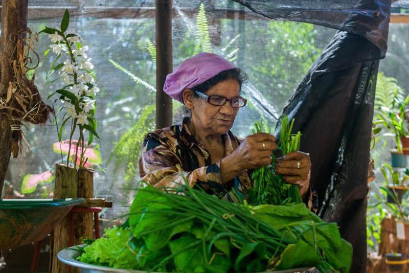 “Fica Dona Laíde!”: contra despejo e por implantação de parque agroecológico