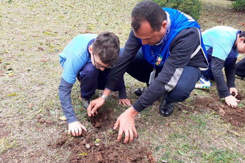 Dia da Árvore terá plantio de 10 mil mudas em Foz e de 550 mil em todo o Paraná