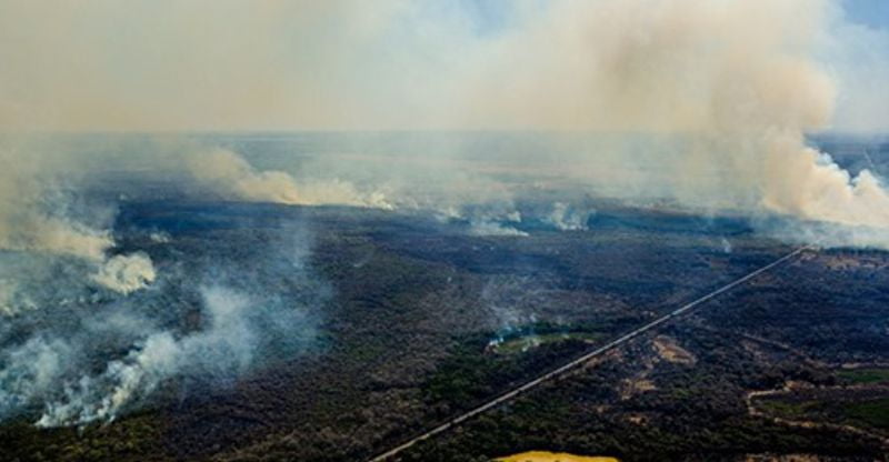 Superação do Pantanal pode levar 40 anos, avalia pesquisador da UNILA