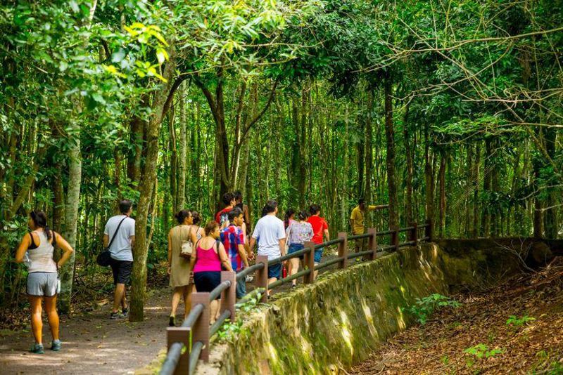 Guias de turismo de Foz já podem se inscrever para cursos de capacitação