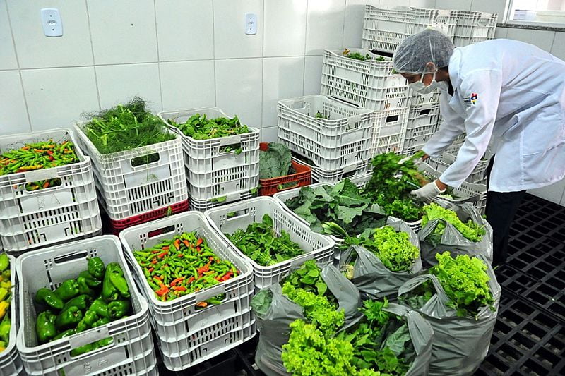 Dia Mundial de Combate ao Câncer: o que a alimentação tem a ver com a doença?