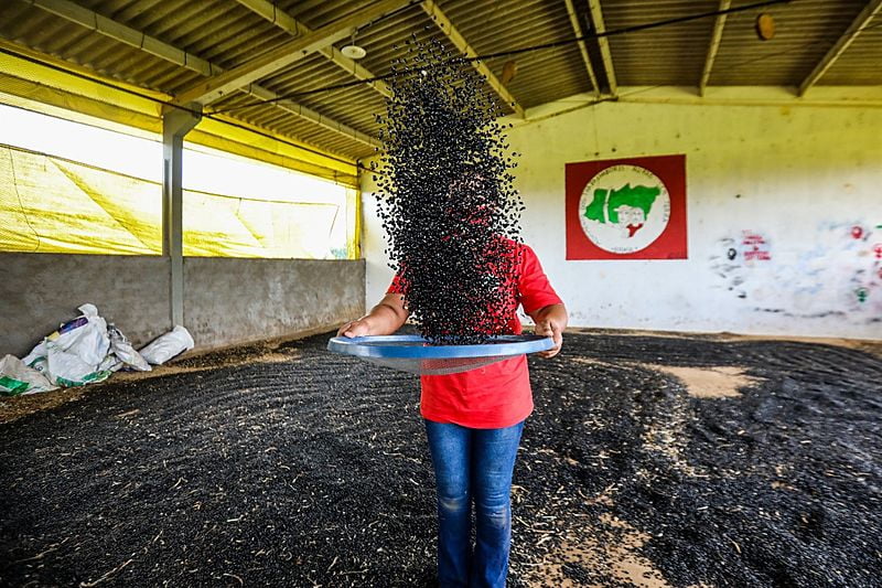 Feijão agroecológico produzido pelo MST no Paraná alimenta também a solidariedade