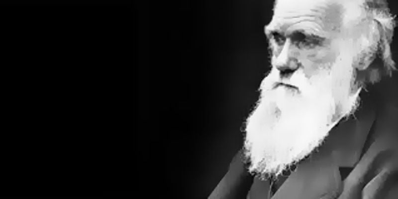 Museu organiza jogo online para celebrar o “Dia de Darwin”