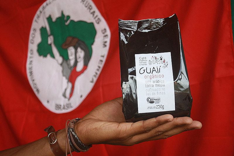 Dia Mundial do Café: Brasil tem opção produzida em quilombo e sem agrotóxico