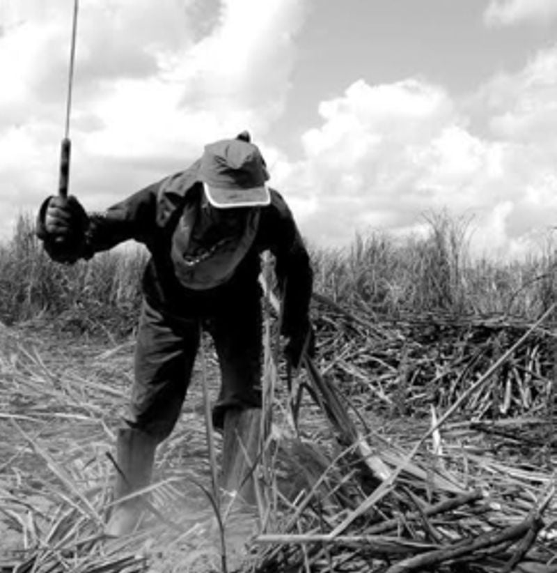 Nesta quinta (15), fronteira e reforma agrária são temas de doutorado na Unioeste