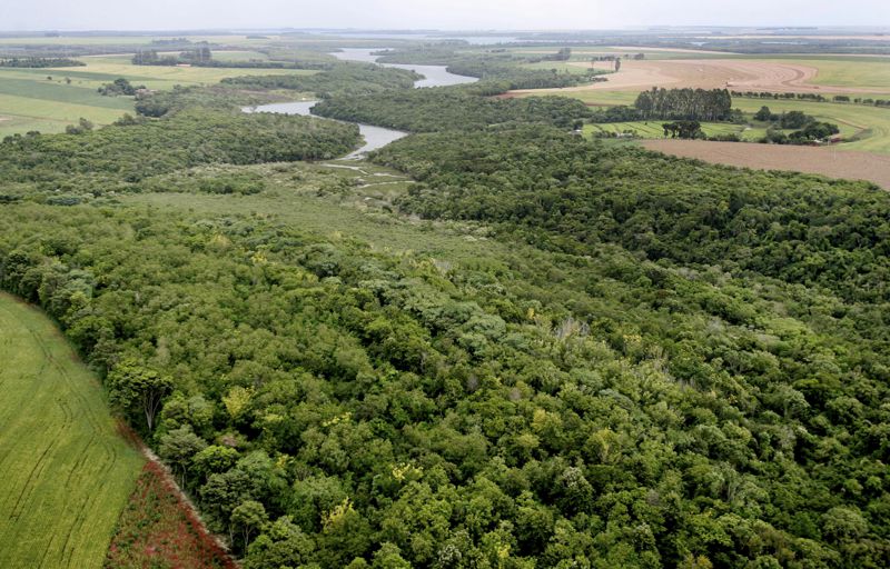 Corredor Ecológico Santa Maria completa 20 anos