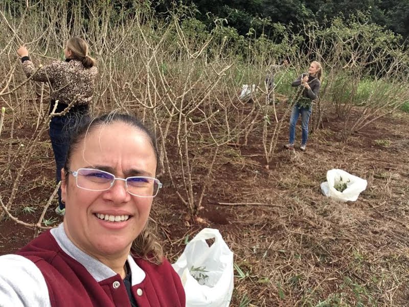 Mestranda da Unioeste conquista prêmio em evento para mulheres cientistas