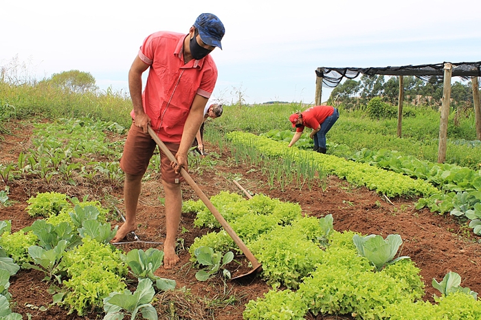 25 de julho, Dia do Agricultor e da Agricultora, heróis e heroínas sem medalha