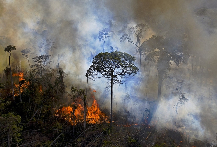 5 de setembro, Dia da Amazônia