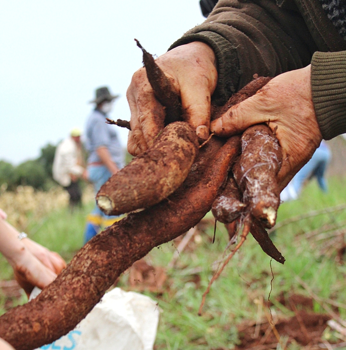 Acampamento do MST inaugura agroindústria orgânica e sustentável no Paraná