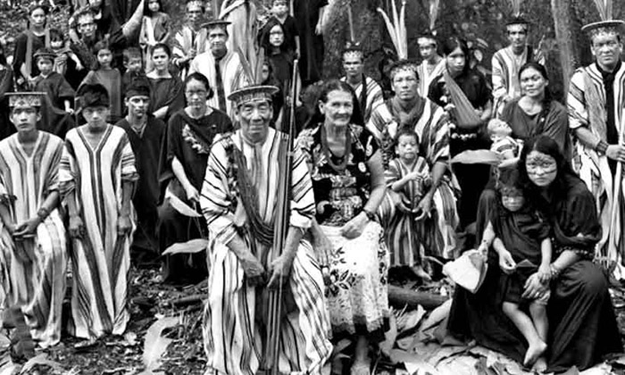 Exposição Amazônia, de Sebastião Salgado será apresentada online pela primeira vez no Brasil