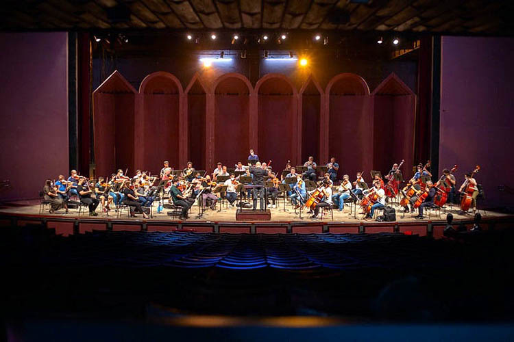 Orquestra Sinfônica do Paraná faz concerto virtual sobre compositores alemães