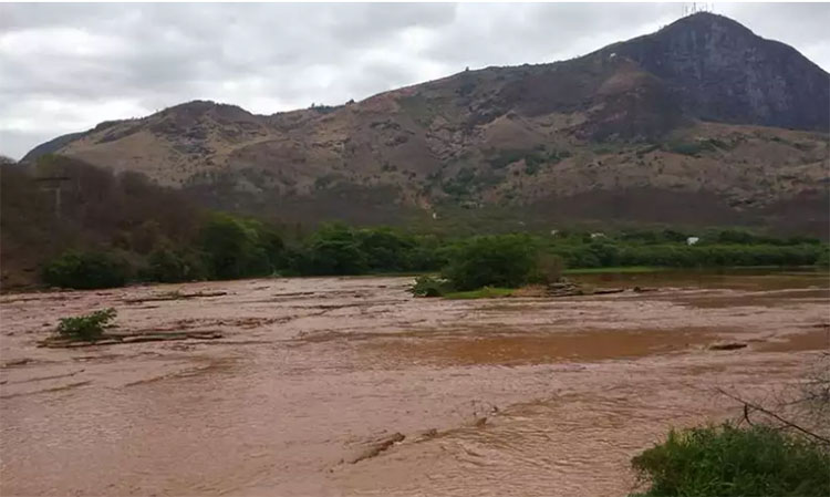 ‘Conversas com o Rio Doce’: coleção relembra os seis anos do desastre de Mariana