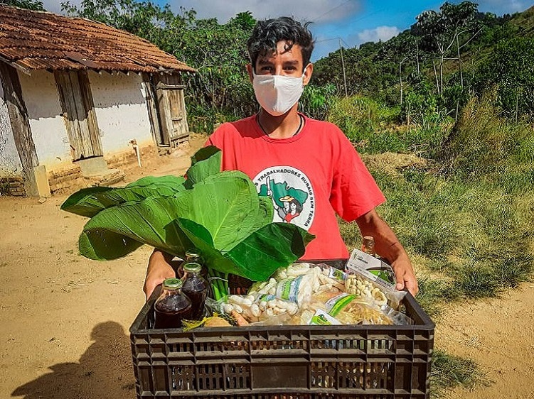 Cerca de 80% dos alimentos agroecológicos chegam até feiras, supermercados e escolas