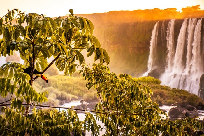 “Belezas do Parque” ganha exposição em Foz do Iguaçu