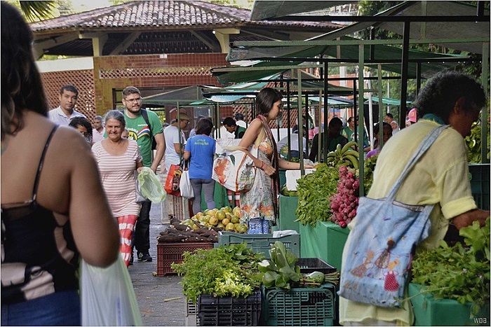 Feiras Agroecológicas dinamizam a produção do campo e proporcionam uma alimentação saudável