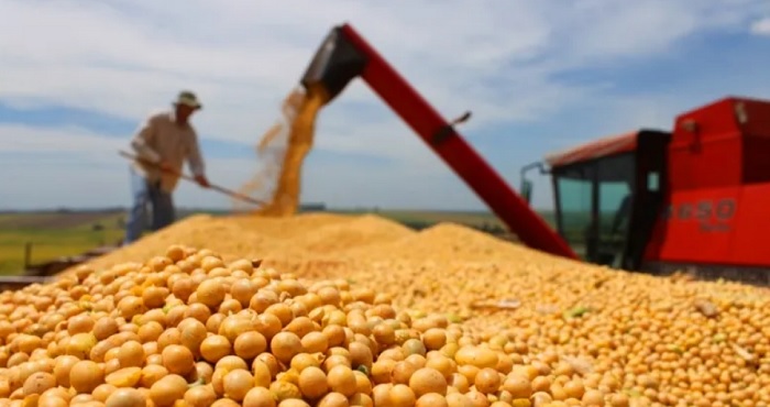 Encontro online nesta quarta (20) debate o uso da terra e a produção de alimentos no Brasil