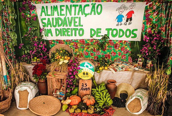 19ª Jornada de Agroecologia começa nesta quarta (22), em Curitiba