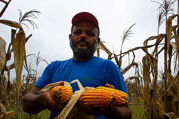 MST inaugura agroindústria de derivados de milho livre de transgênico, em Londrina (PR)