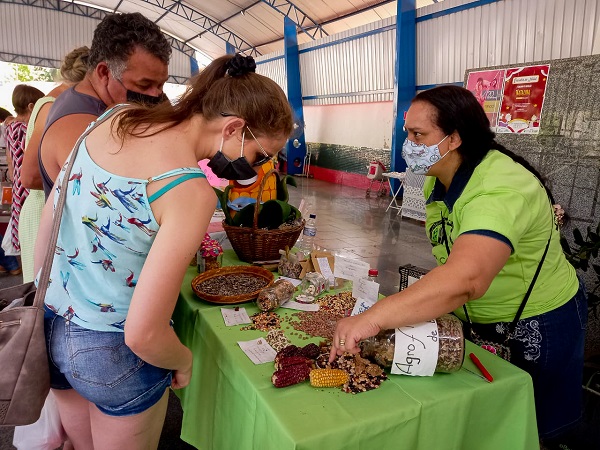 Curso online gratuito sobre agroecologia está aceitando inscrições até 1 de agosto