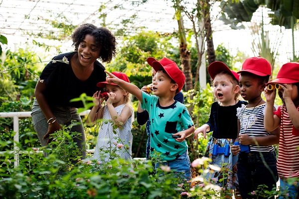 Curso gratuito online ensina educadores a levar natureza para as escolas