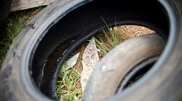 Sábado (11), ações contra a dengue acontecem na região do Morumbi