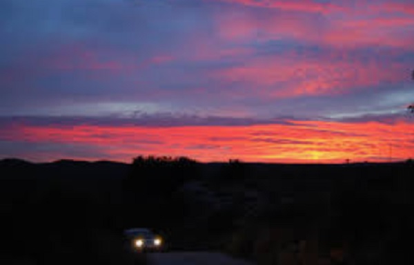 Noites de Domingo, crônica de Carina Paccola