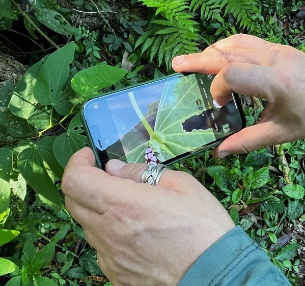 Fotografia: participe do Desafio da Biodiversidade