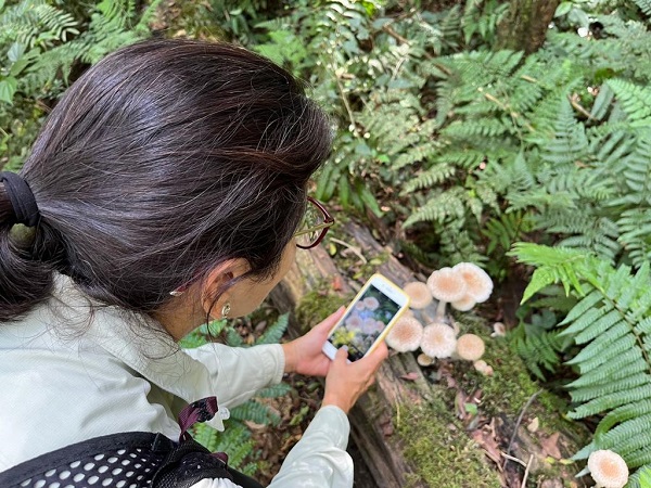 Até 1 de maio, Foz do Iguaçu participa do Desafio da Biodiversidade Urbana