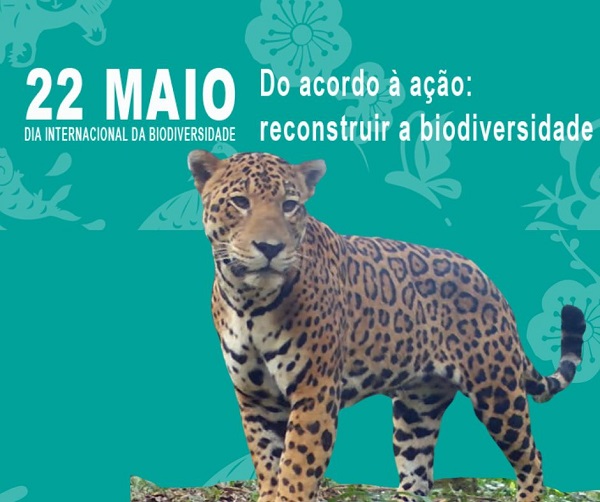 22 de maio é considerado o Dia Internacional da Biodiversidade, texto do Projeto Onças do Iguaçu