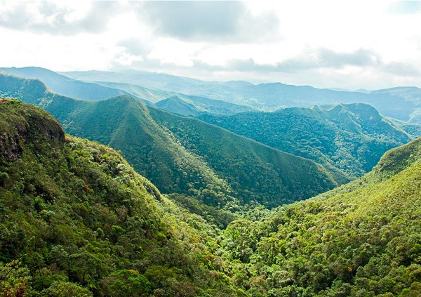 Mata Atlântica: bioma abriga mais de 70% da população brasileira