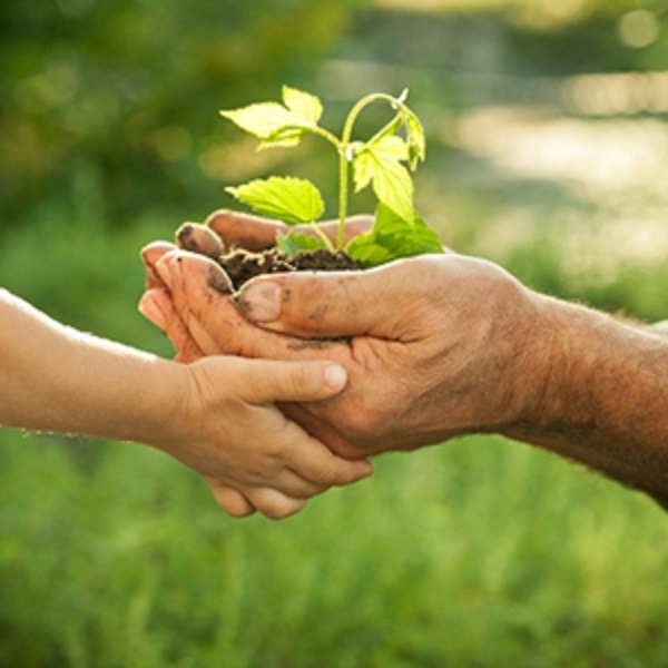 UFFS: Prorrogado prazo para inscrição no mestrado em Agroecologia e Desenvolvimento Rural Sustentável