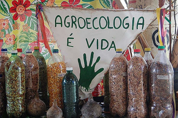 Congresso Brasileiro de Agroecologia recebe submissões de trabalho até esta quarta (12)