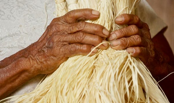 Mulheres indígenas lideram projetos de geração de renda e agroecologia