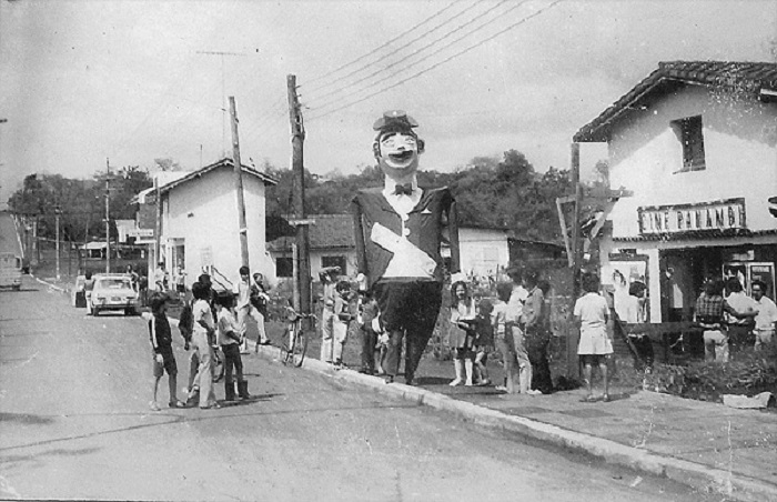 Tardes de cine en la selva, texto de Alicia Segovia