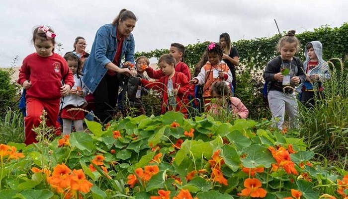 PANCs: biólogo de Foz do Iguaçu cria rede para cultivar