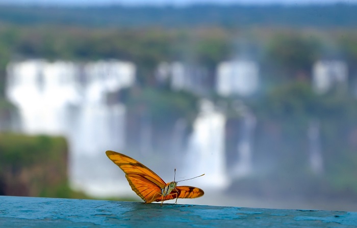 Chegou a época mais bonita para visitar o Parque Nacional do Iguaçu