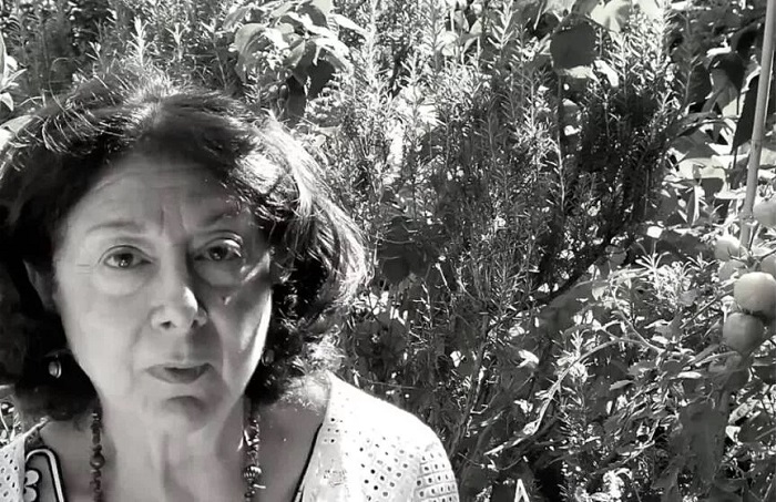 Migración de las estrellas, poesia da palestina Olivia Elias