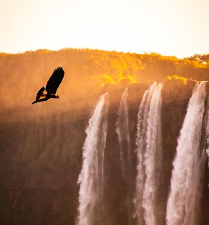 Pôr do Sol nas Cataratas é o novo passeio do Parque Nacional do Iguaçu