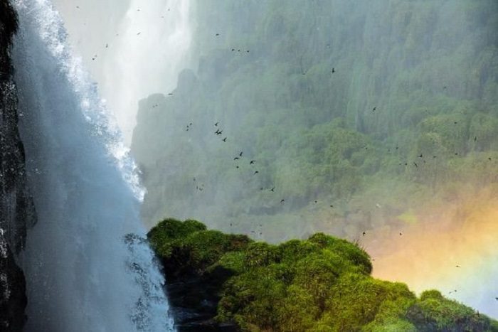 Cataratas do Iguaçu é eleita a principal atração do Brasil e da América do Sul pelo TripAdvisor